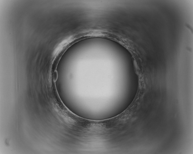 X0000103130296200808221048