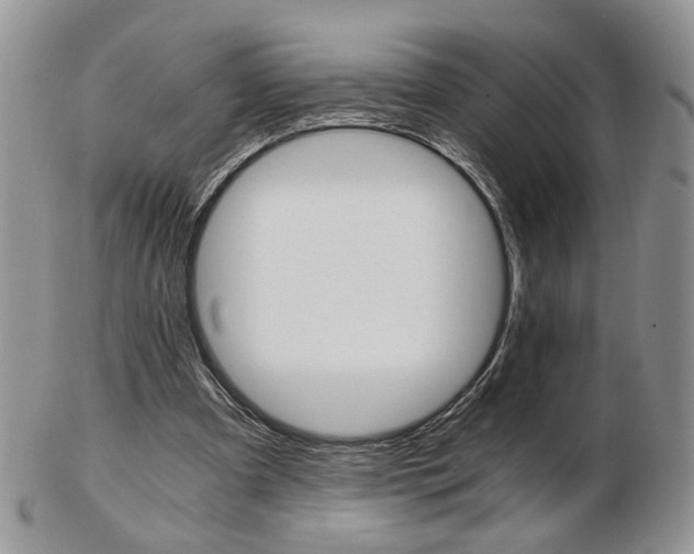 X0000103130297200808221048