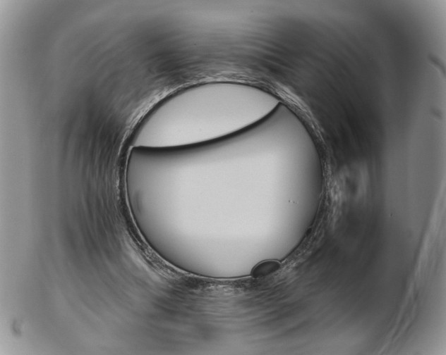 X0000103130298200808221048