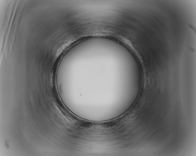 X0000103130299200808221048