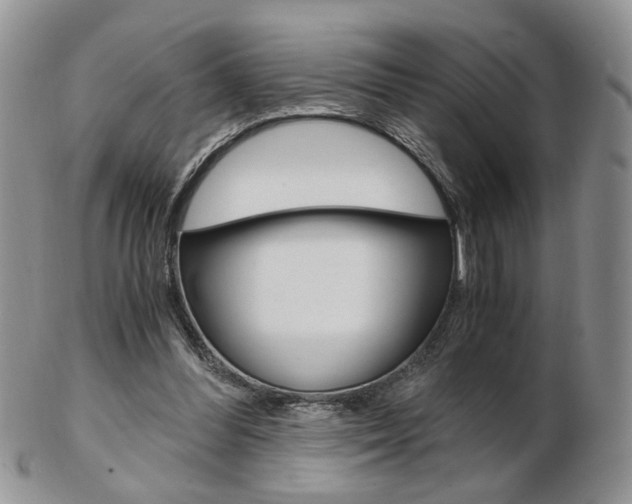 X0000103130300200808221048