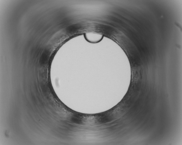 X0000103130301200808221048