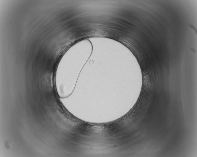 X0000103130302200808221048