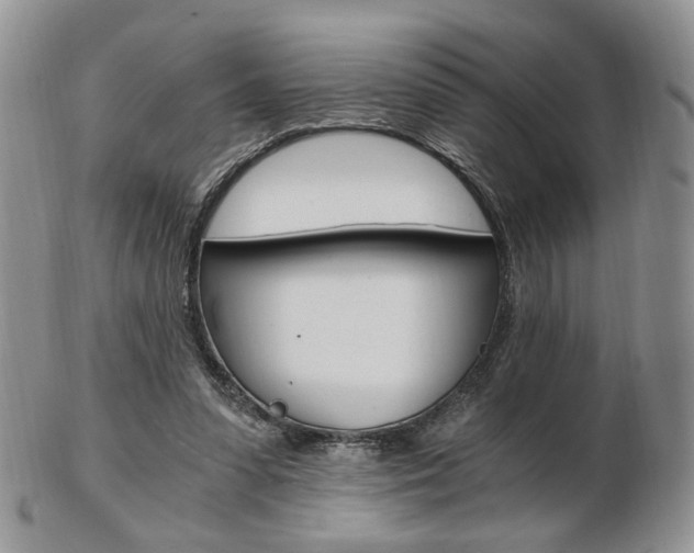 X0000103130303200808221048