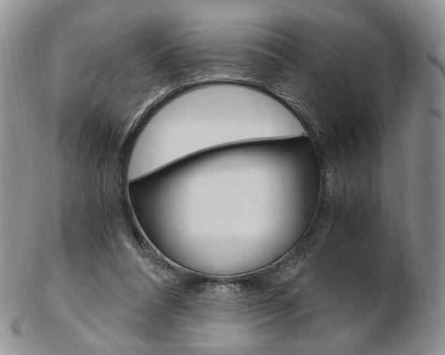 X0000103130304200808221048
