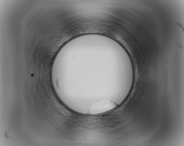 X0000103130305200808221048