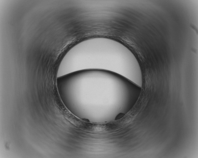 X0000103130308200808221047