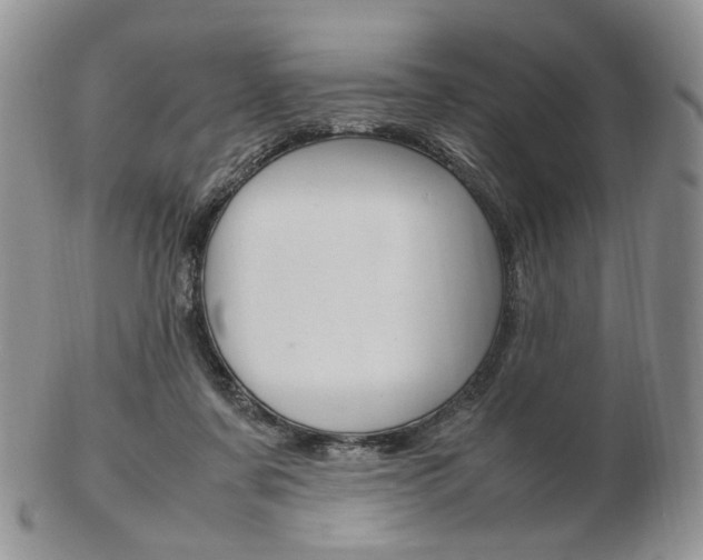 X0000103130311200808221047