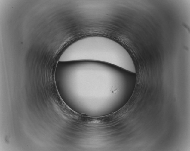 X0000103130312200808221047