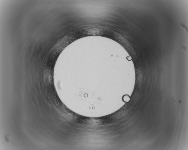 X0000103130313200808221047