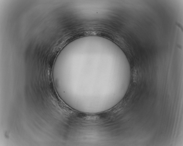 X0000103130314200808221047