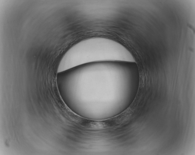 X0000103130316200808221047