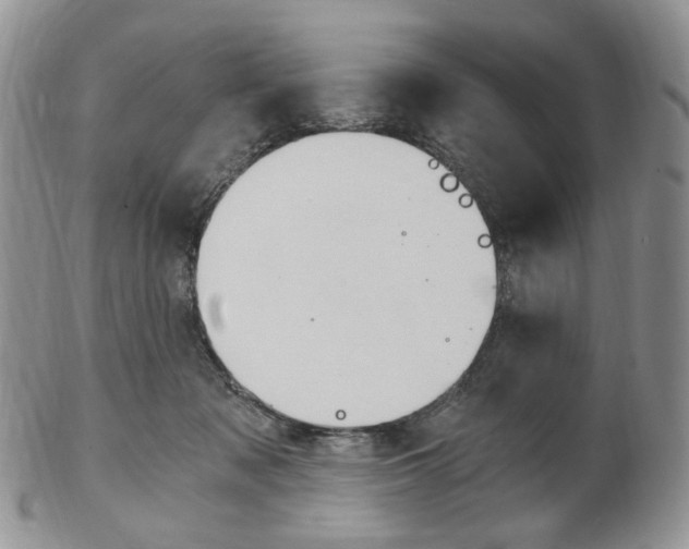 X0000103130317200808221047