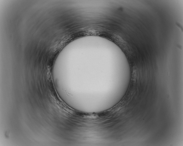 X0000103130318200808221047