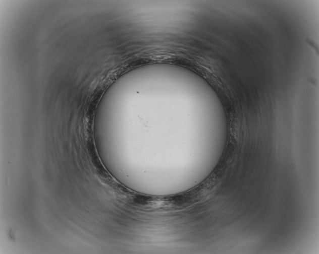 X0000103130319200808221047