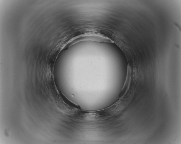X0000103130320200808221047