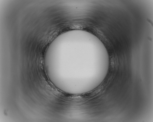 X0000103130322200808221047