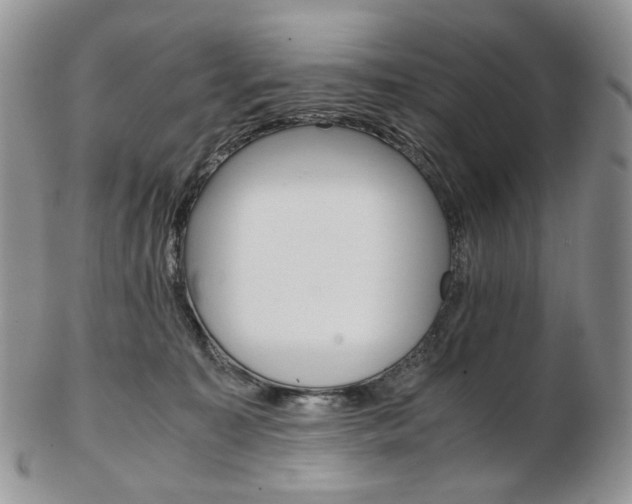 X0000103130323200808221047