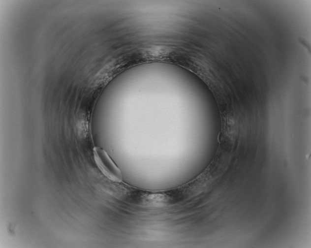 X0000103130324200808221047