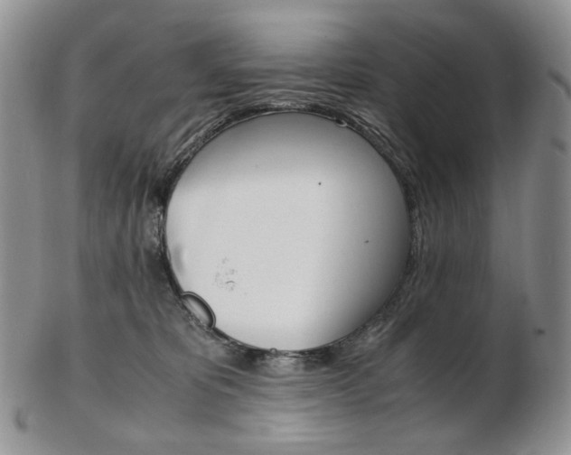 X0000103130325200808221047