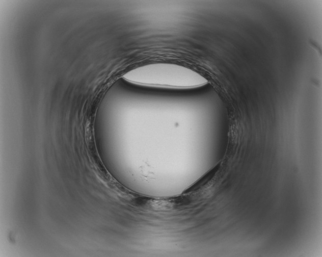 X0000103130327200808221047