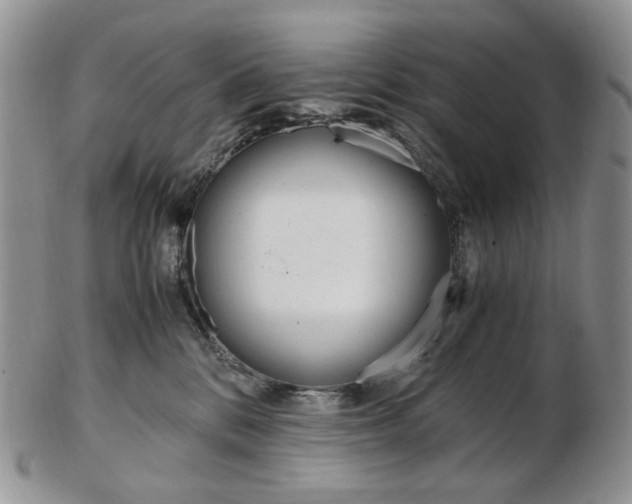 X0000103130328200808221047