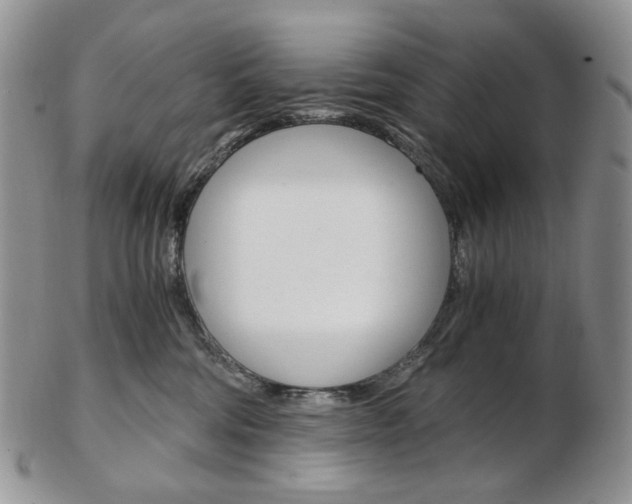 X0000103130330200808221047