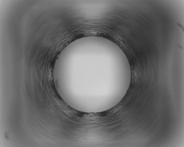 X0000103130331200808221047