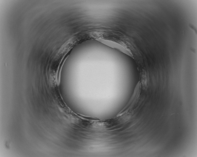 X0000103130332200808221047