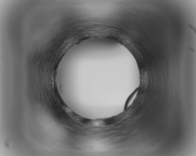 X0000103130333200808221047