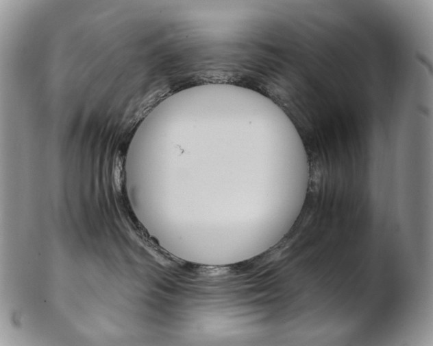 X0000103130334200808221047