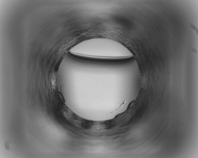 X0000103130335200808221047