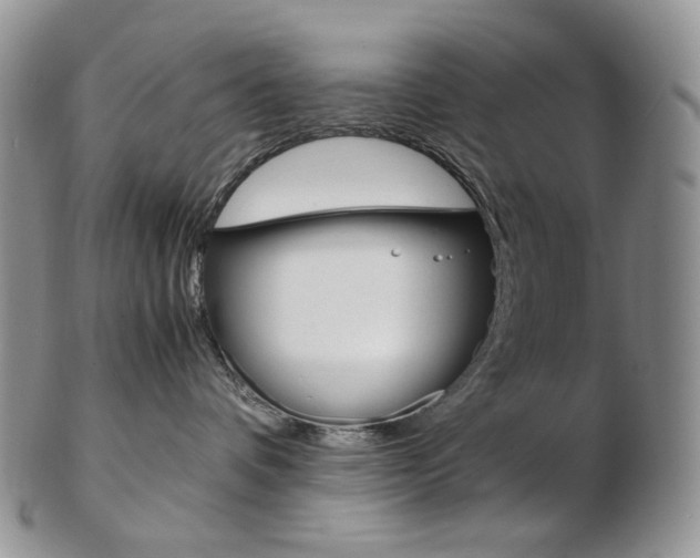 X0000103130336200808221047