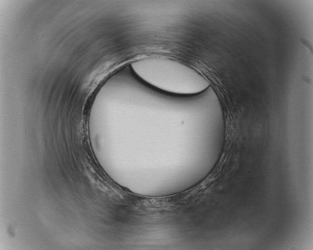 X0000103130338200808221046