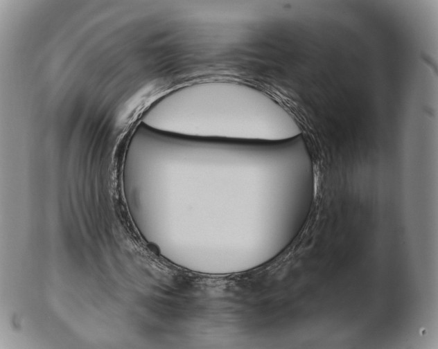 X0000103130339200808221046