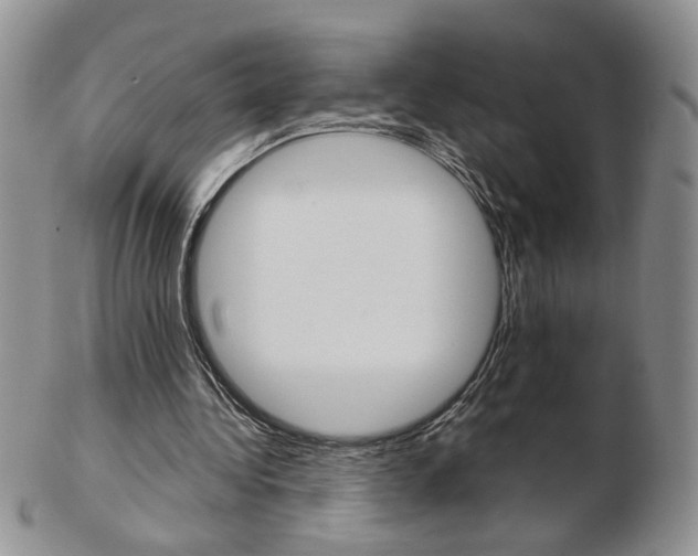 X0000103130340200808221046