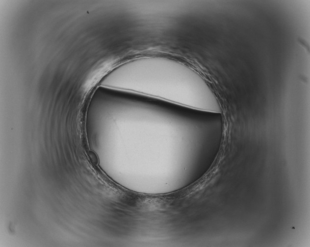 X0000103130341200808221046