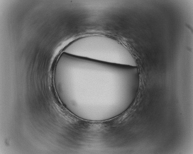 X0000103130342200808221046