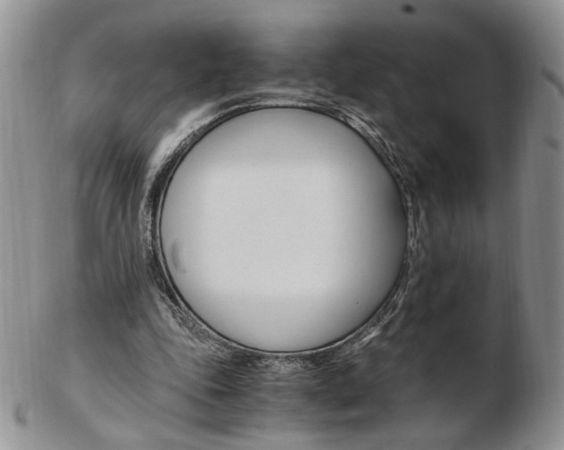 X0000103130343200808221046