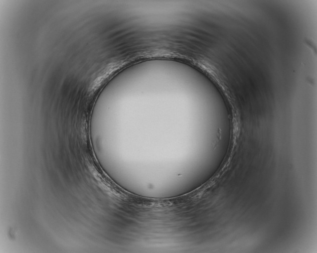 X0000103130345200808221047