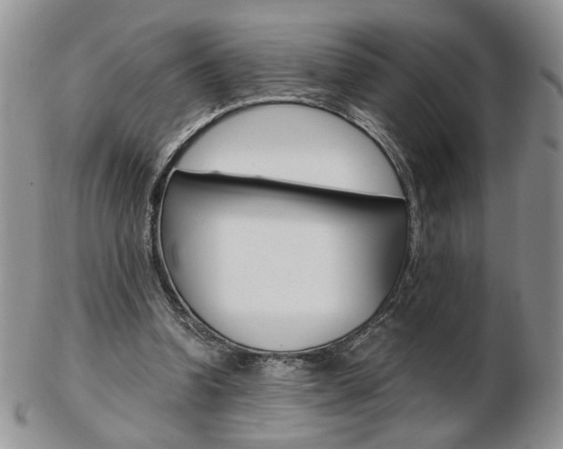 X0000103130346200808221047