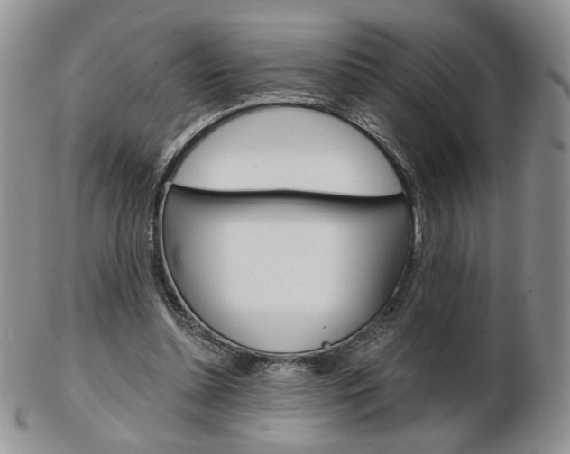 X0000103130348200808221047