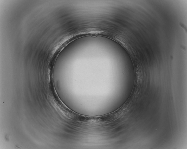 X0000103130350200808221047