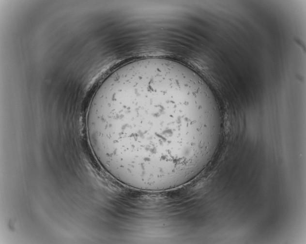 X0000103130351200808221047