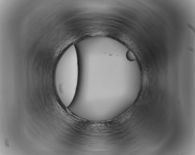 X0000103130353200808221047