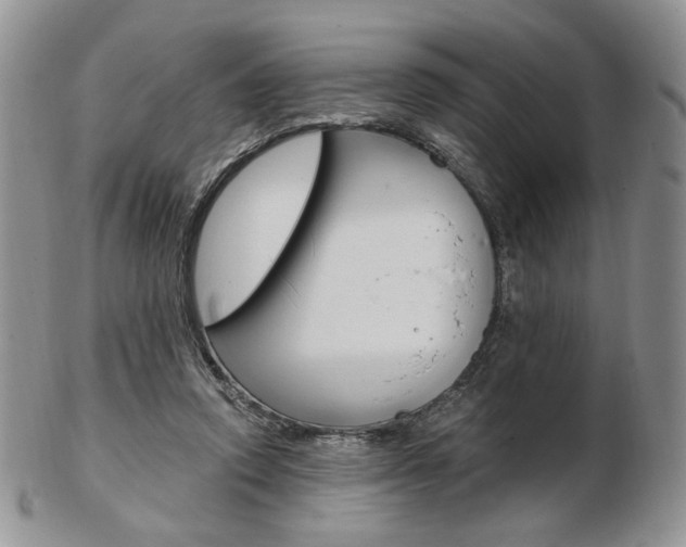 X0000103130354200808221047