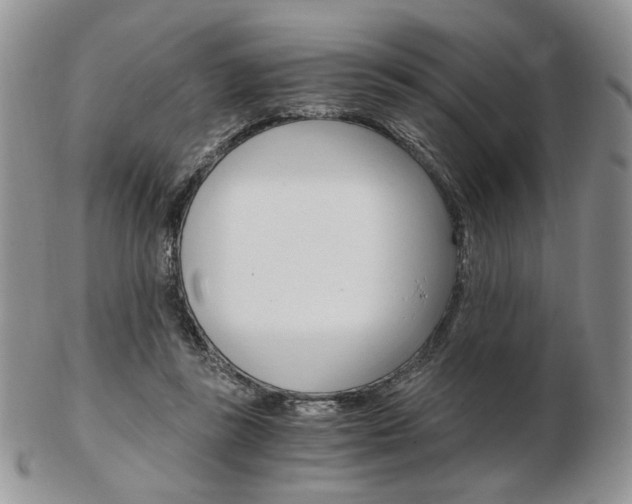 X0000103130355200808221047