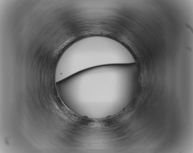X0000103130356200808221047