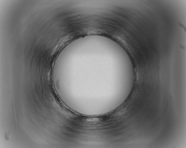 X0000103130357200808221047