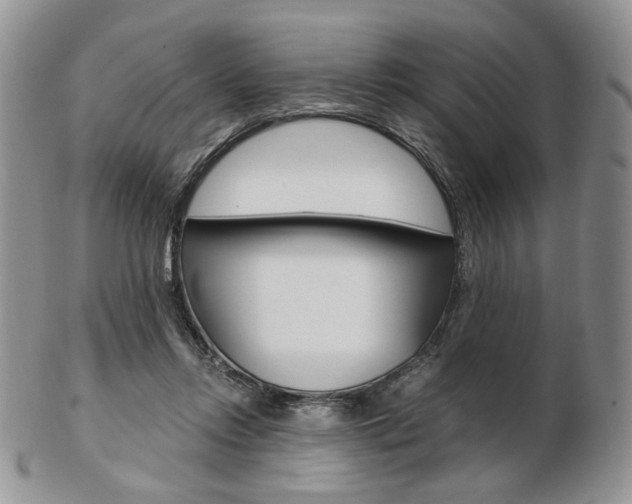 X0000103130358200808221047